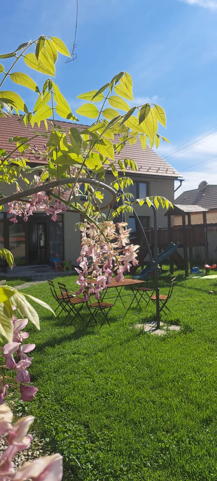 Facilități Porumbacu381