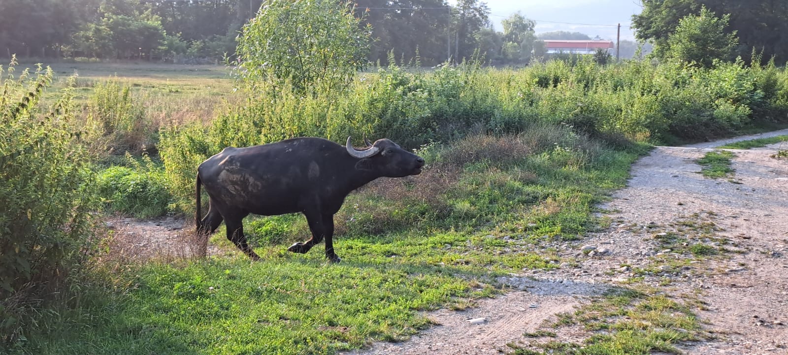 Facilități Porumbacu381